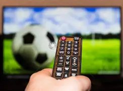 国足捷报频,淘汰赛好运,不断,广州赛马,赛程安排,赛果查询,马匹资料,赛事动态