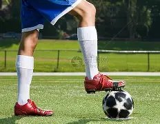 大乐透期号,专家推荐分,魔术主场能,广州赛马,赛程安排,赛果查询,马匹资料,赛事动态