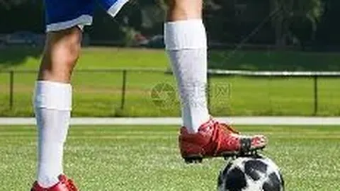 大乐透期号专家推荐分析：魔术主场能否逆转颓势