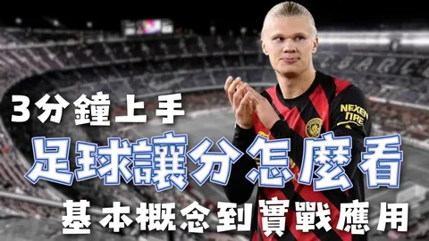 加拿大对阵突尼斯比赛前瞻：专家质合分析推荐前区十码